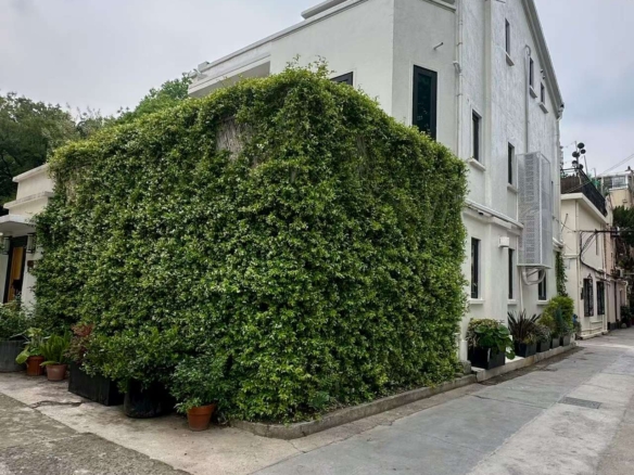 Detached Lane House on Hunan Road | 260 sqm, 3 Floors, Parking | Creative Office or Showroom