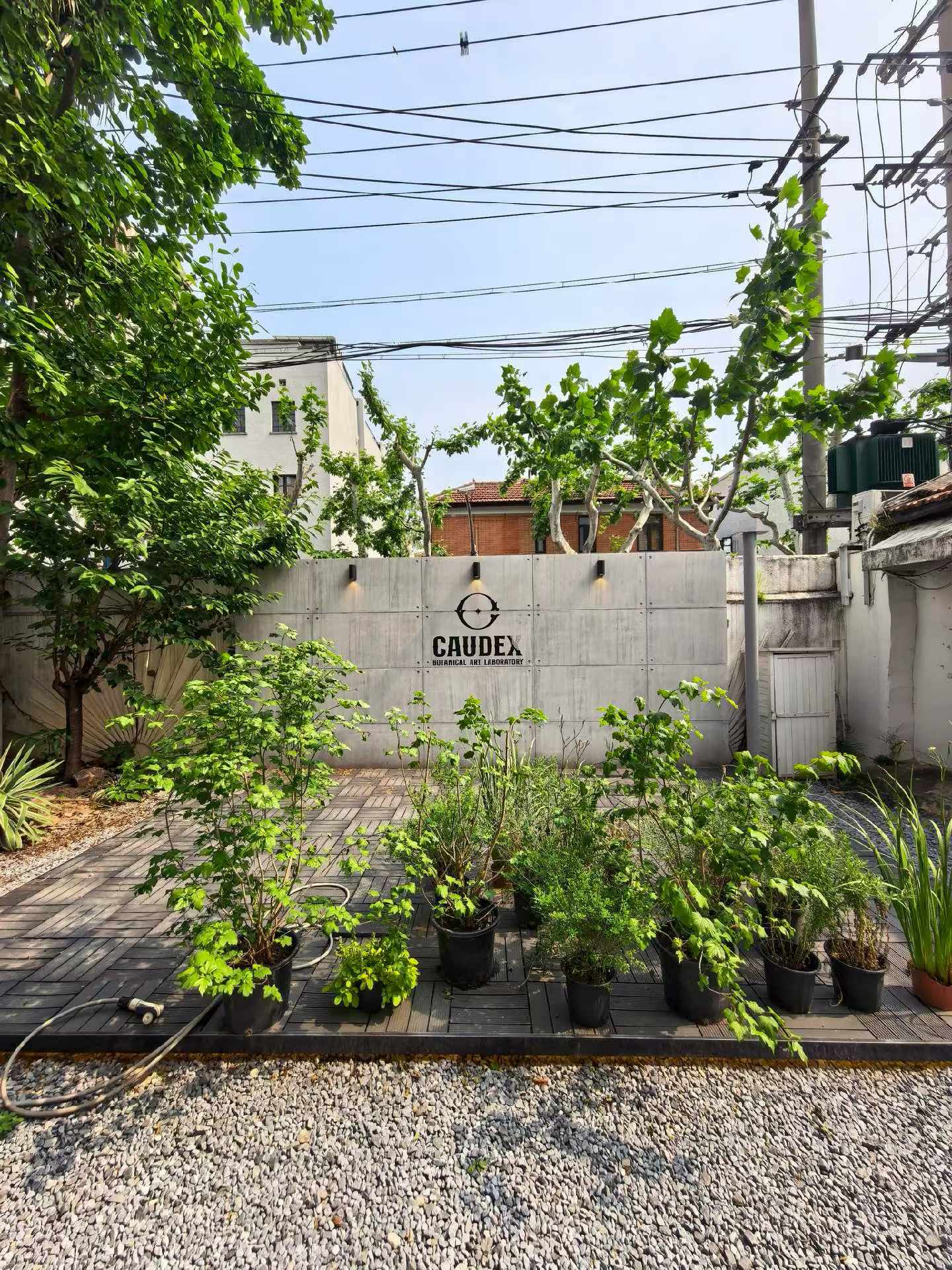 Wuyuan Road Garden Lane House | Double South-Facing Studio | Private Garden
