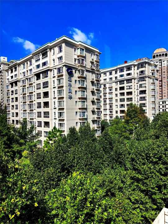 Lush central garden at City Castle compound in Jing‘an, Shanghai, featuring mature trees, manicured bushes, a small pond, and modern residential towers in the background.