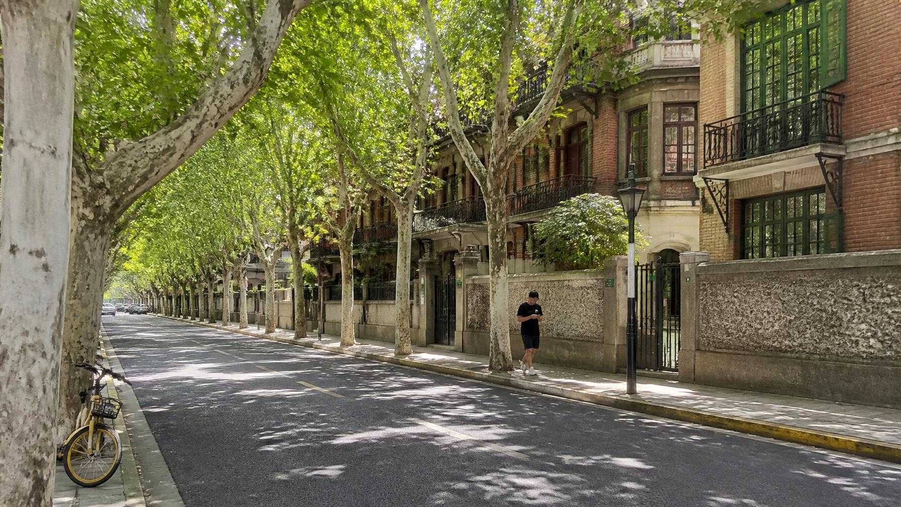 ree-lined Wukang Road in Old Xuhui, Shanghai, with historic lane houses and villa architecture.