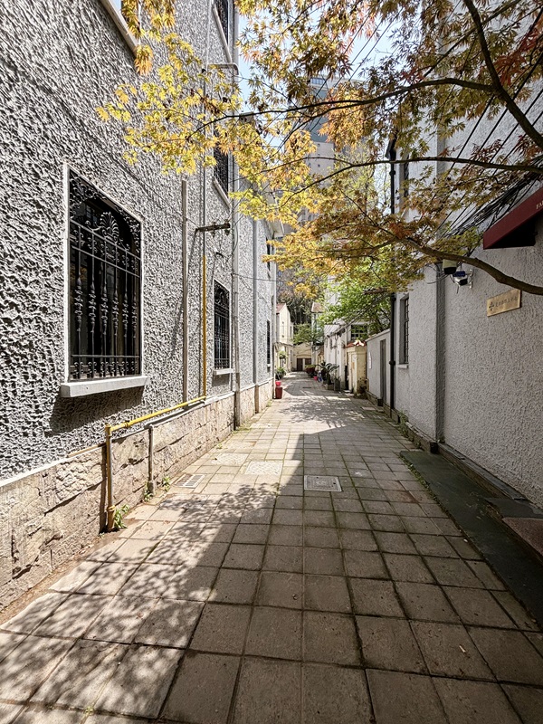 fuxing-road-entire-lane-house-ffc-hengfu-5-bed-4-bath-floor-heating-shanghai-rentals (8) Entire lane house on West Fuxing Road with garden, terrace, elevator, smart home. 5 beds, 4 baths, underfloor heating. Prime Hengfu location. 88,000 RMB/month.