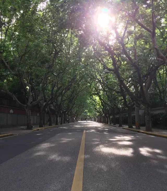 Entire lane house on West Fuxing Road with garden, terrace, elevator, smart home. 5 beds, 4 baths, underfloor heating. Prime Hengfu location. 88,000 RMB/month.