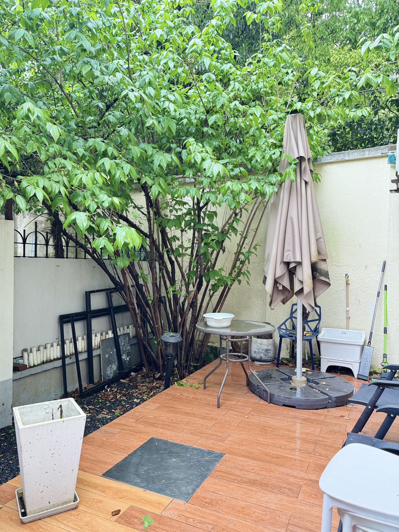 huaihai-road-lane-house-studio-office-creative-ffc-shanghai-rentals (8) Ground floor studio at Shangfang Garden on Huaihai Road. 70 sqm, 20 sqm garden, 3 flexible rooms, steps from Changshu Road Station. 21,600 RMB/month.