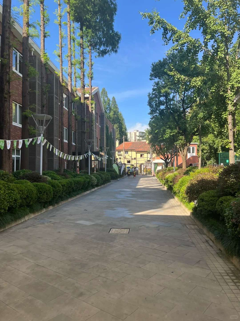 YK Pao School Shanghai, Primary Campus, The Main Road